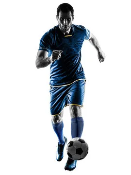 NG体育 主要标志